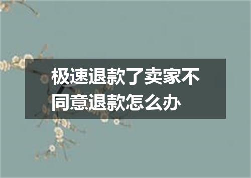极速退款了卖家不同意退款怎么办