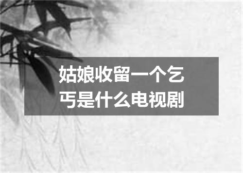 姑娘收留一个乞丐是什么电视剧