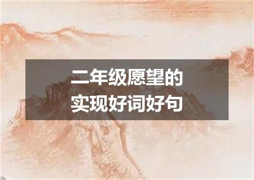 二年级愿望的实现好词好句