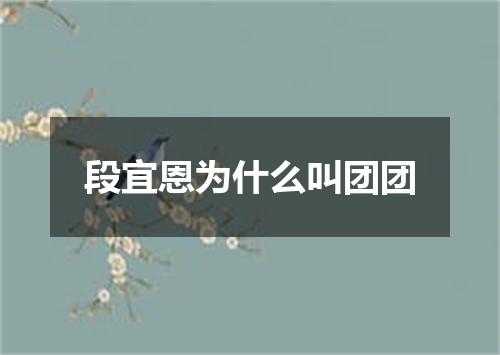 段宜恩为什么叫团团