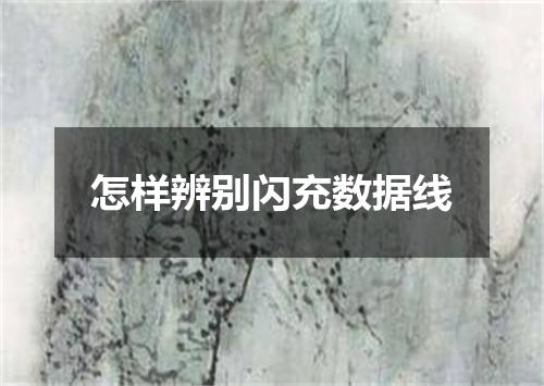 怎样辨别闪充数据线