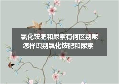 氯化铵肥和尿素有何区别呢 怎样识别氯化铵肥和尿素