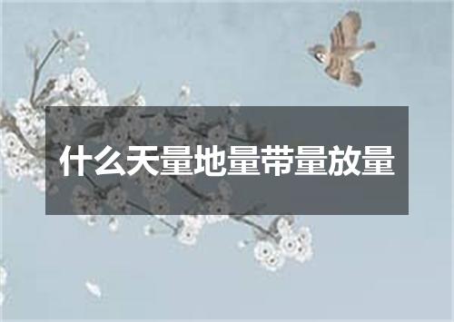 什么天量地量带量放量