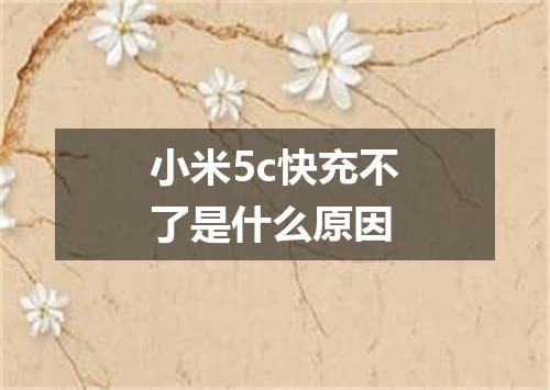 小米5c快充不了是什么原因