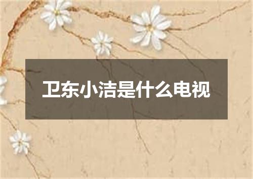 卫东小洁是什么电视