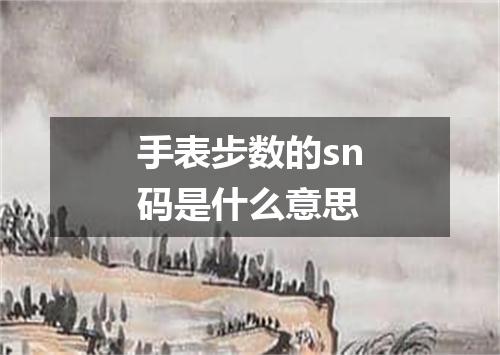 手表步数的sn码是什么意思