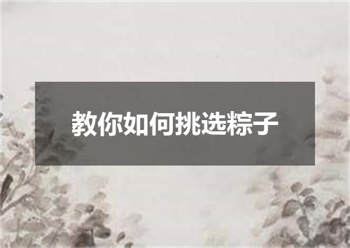 教你如何挑选粽子