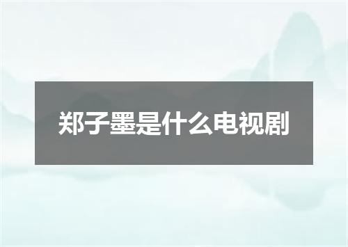 郑子墨是什么电视剧