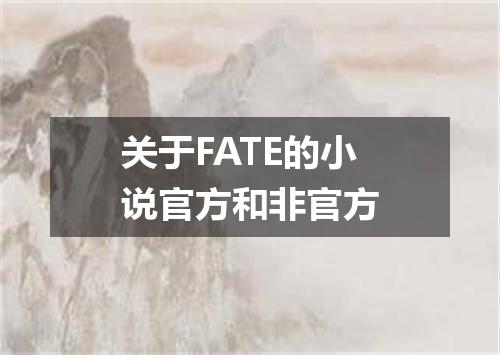 关于FATE的小说官方和非官方