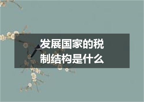 发展国家的税制结构是什么