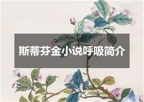 斯蒂芬金小说呼吸简介