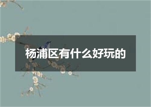 杨浦区有什么好玩的