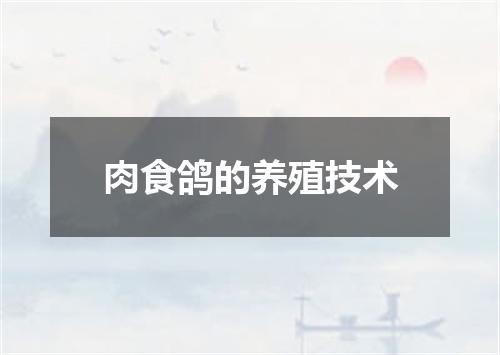 肉食鸽的养殖技术