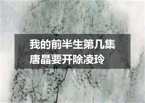 我的前半生第几集唐晶要开除凌玲