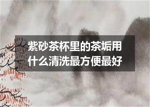 紫砂茶杯里的茶垢用什么清洗最方便最好