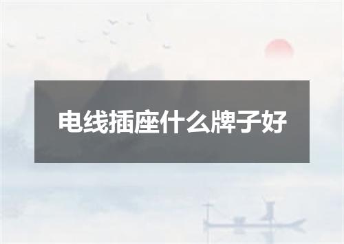 电线插座什么牌子好