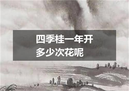 四季桂一年开多少次花呢
