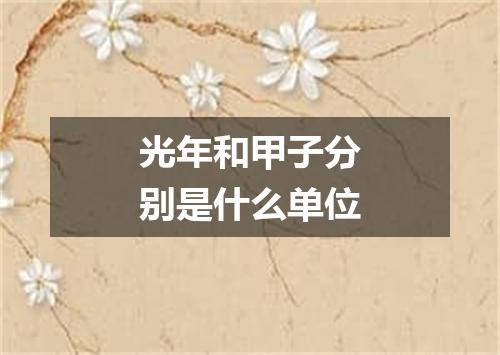 光年和甲子分别是什么单位