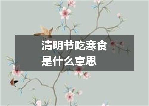 清明节吃寒食是什么意思
