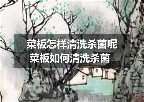 菜板怎样清洗杀菌呢 菜板如何清洗杀菌