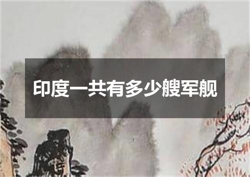 印度一共有多少艘军舰