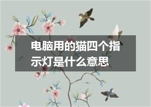 电脑用的猫四个指示灯是什么意思