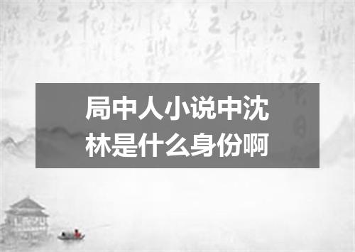 局中人小说中沈林是什么身份啊