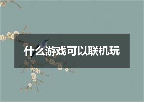 什么游戏可以联机玩