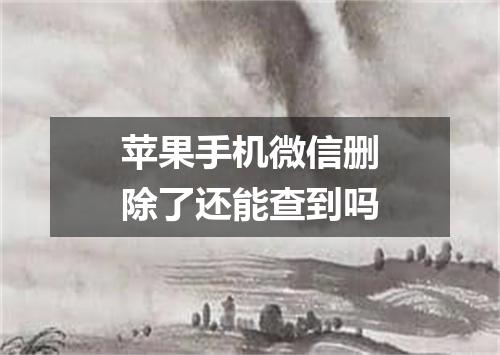 苹果手机微信删除了还能查到吗