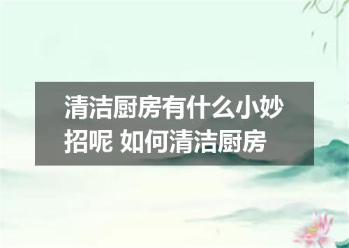 清洁厨房有什么小妙招呢 如何清洁厨房