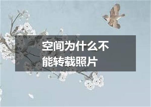 空间为什么不能转载照片