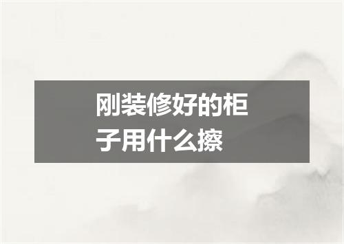 刚装修好的柜子用什么擦