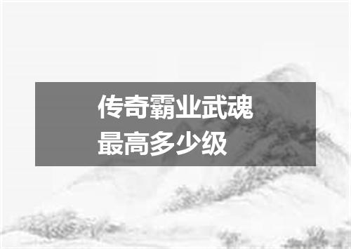 传奇霸业武魂最高多少级