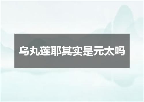乌丸莲耶其实是元太吗