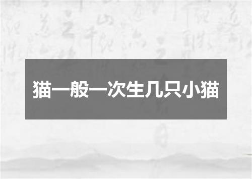 猫一般一次生几只小猫