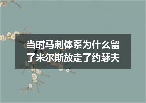 当时马刺体系为什么留了米尔斯放走了约瑟夫