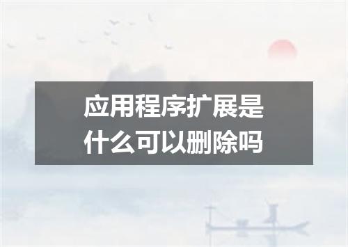 应用程序扩展是什么可以删除吗