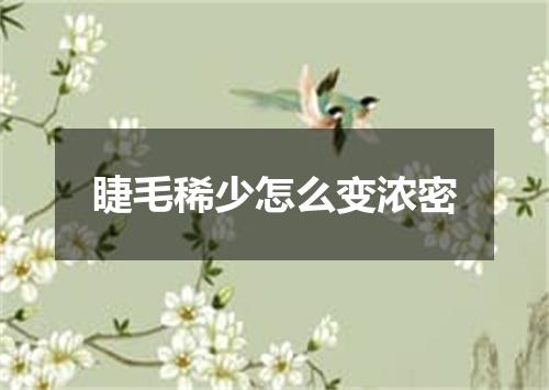 睫毛稀少怎么变浓密