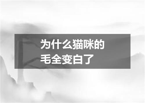 为什么猫咪的毛全变白了