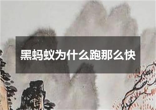 黑蚂蚁为什么跑那么快