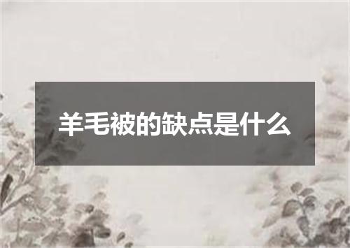 羊毛被的缺点是什么