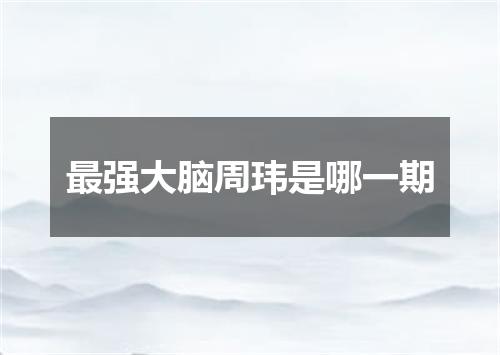 最强大脑周玮是哪一期