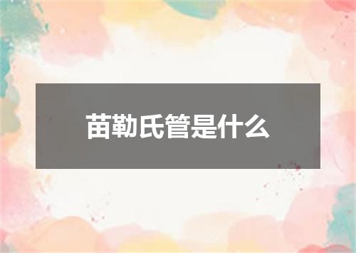 苗勒氏管是什么