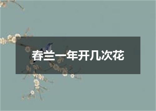 春兰一年开几次花