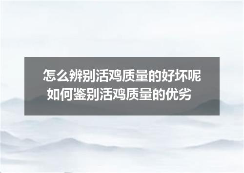 怎么辨别活鸡质量的好坏呢 如何鉴别活鸡质量的优劣
