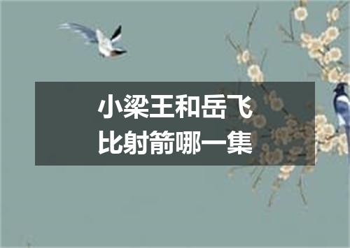 小梁王和岳飞比射箭哪一集