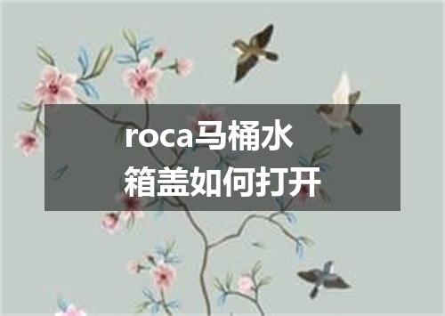 roca马桶水箱盖如何打开