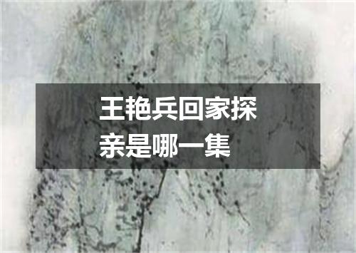 王艳兵回家探亲是哪一集