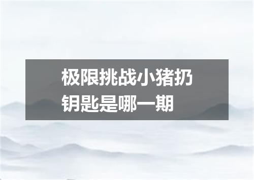 极限挑战小猪扔钥匙是哪一期