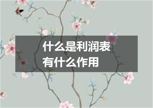 什么是利润表有什么作用